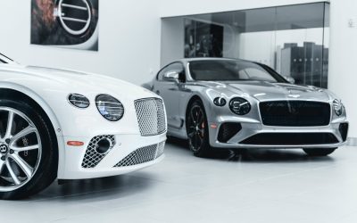 752 Leads in 90 days for Car Dealership